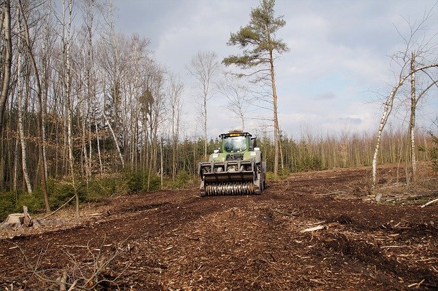 Land clearing services in New Milford CT