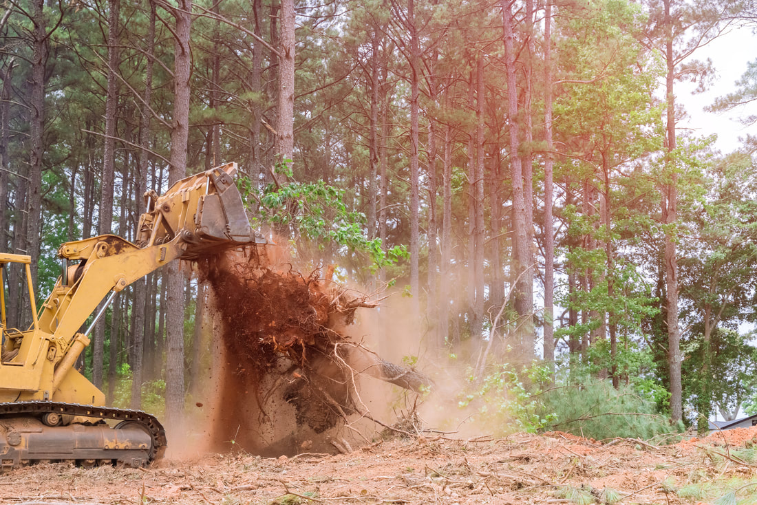 a bulldozer doing stump removal.